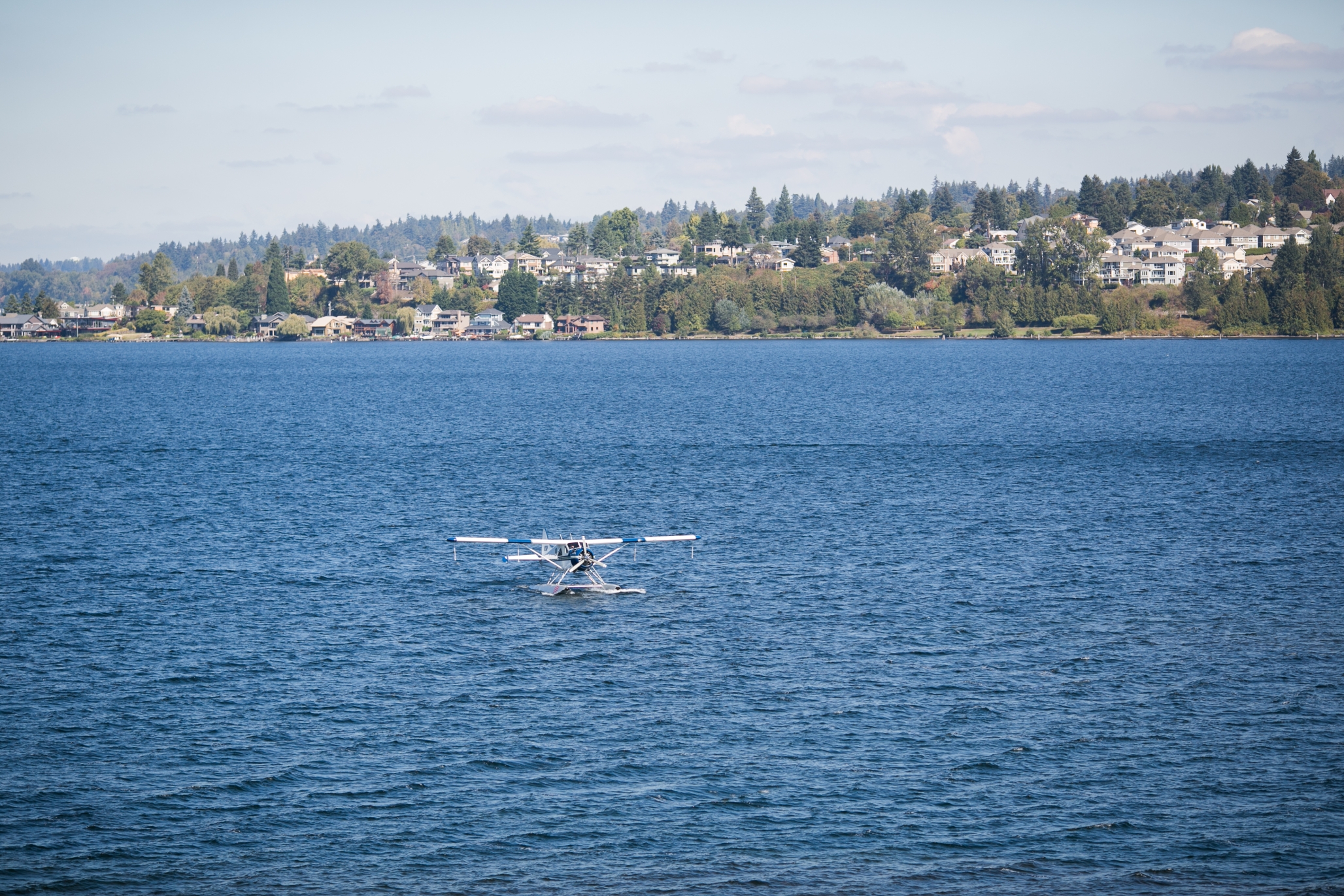 The Lakeshore, Seattle, WA 12