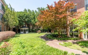 Caruth Haven Court, Dallas, TX 4