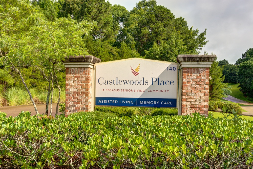 Castlewoods Place, Brandon, MS 4