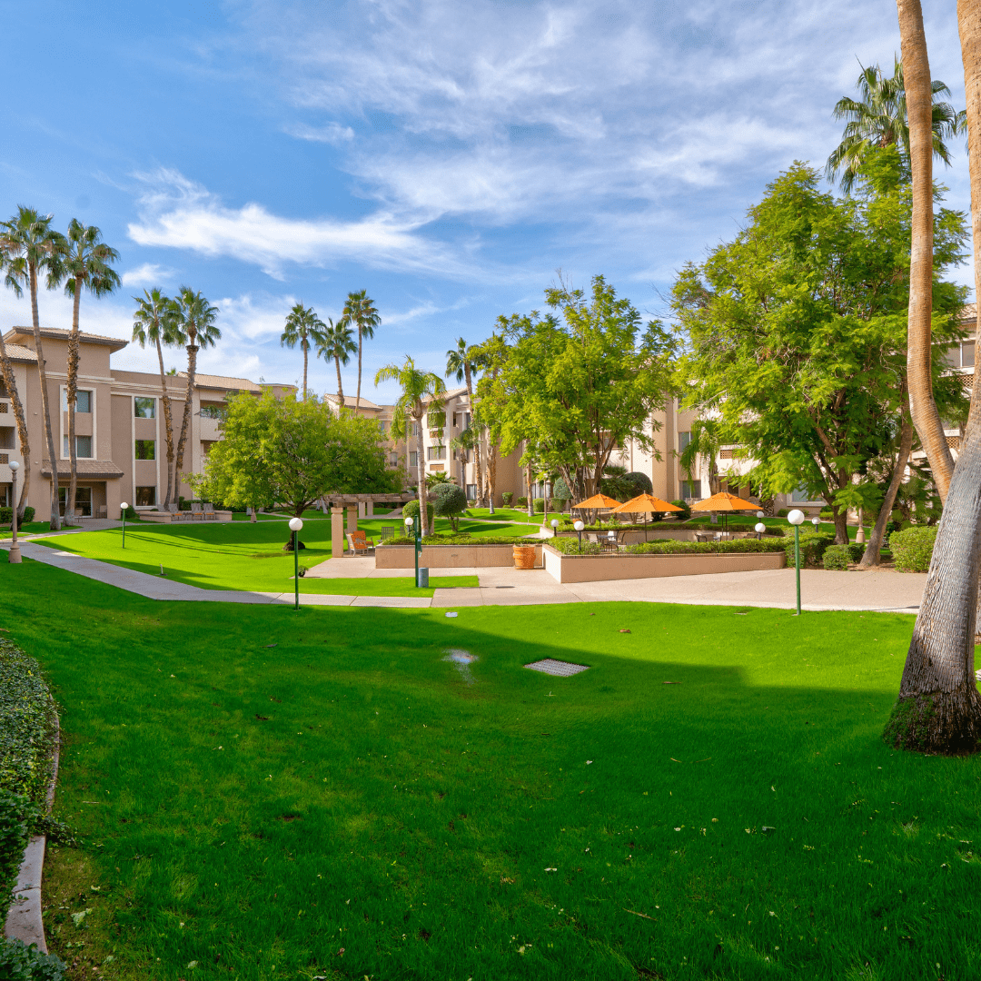 The Palms at Sun City, Sun City, AZ 7