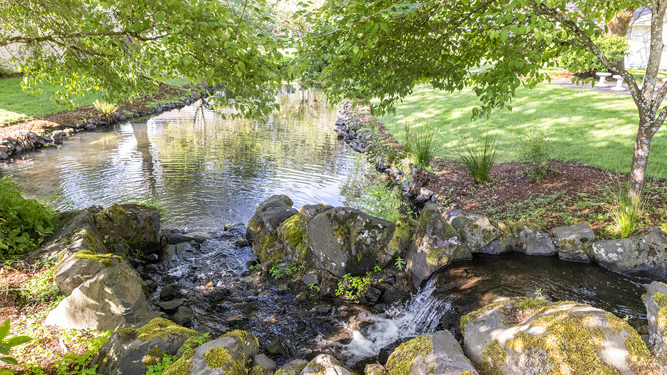 Hidden Lakes, Salem, OR 13