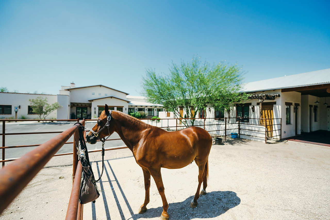 The Hacienda at the River, Tucson, AZ 4