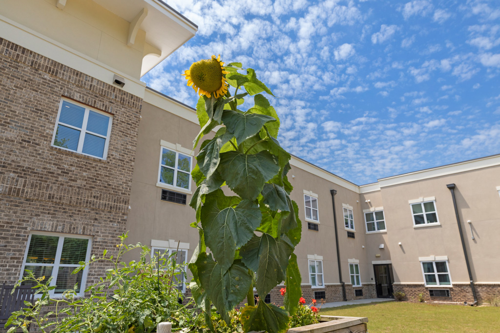 The Mansions at Sandy Springs, Peachtree Corners, GA 15