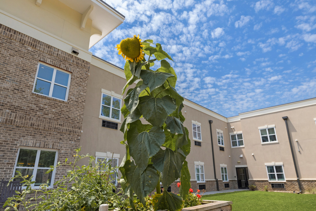 The Mansions at Sandy Springs, Peachtree Corners, GA 16