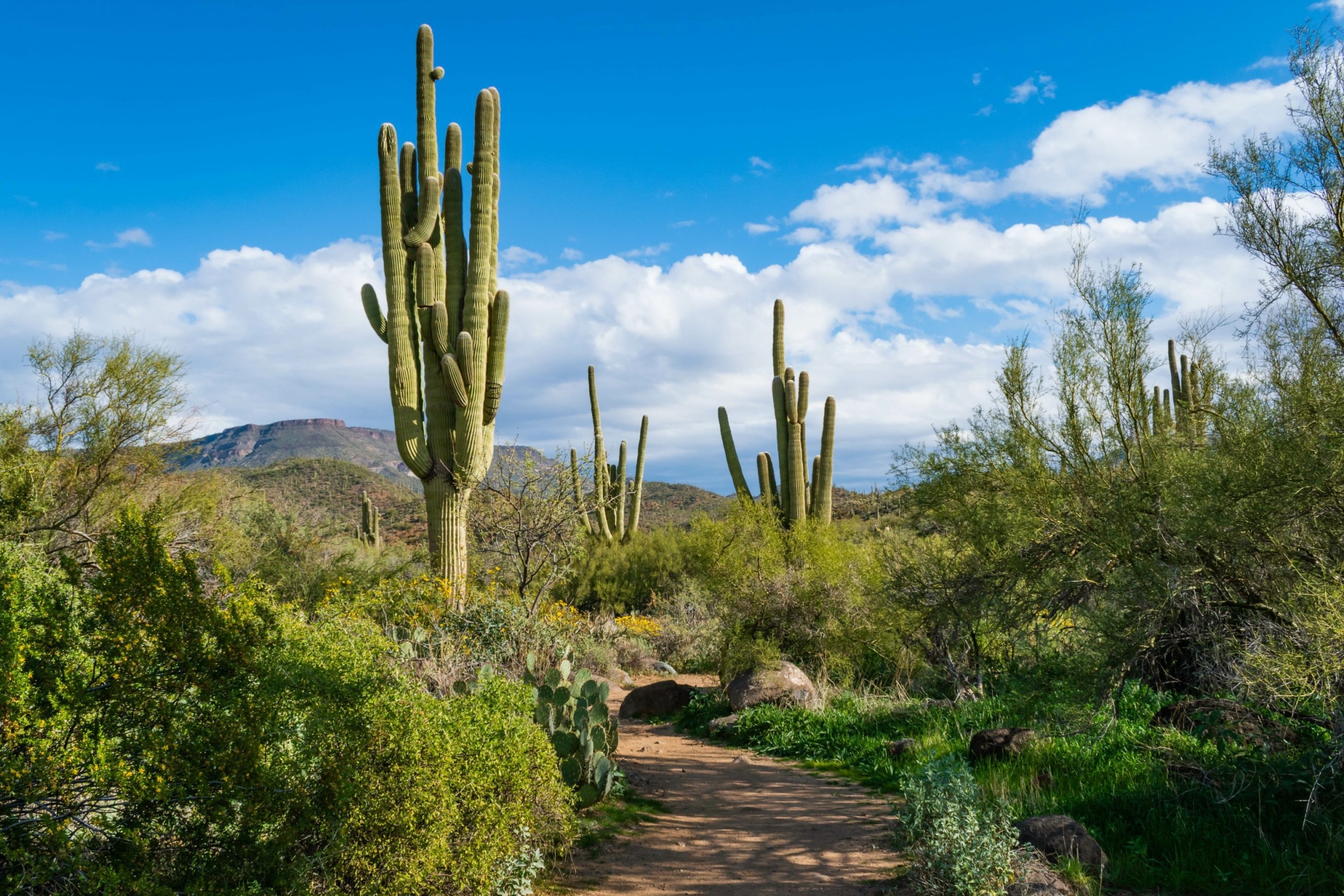 Cave Creek Assisted Living, Cave Creek, AZ 3