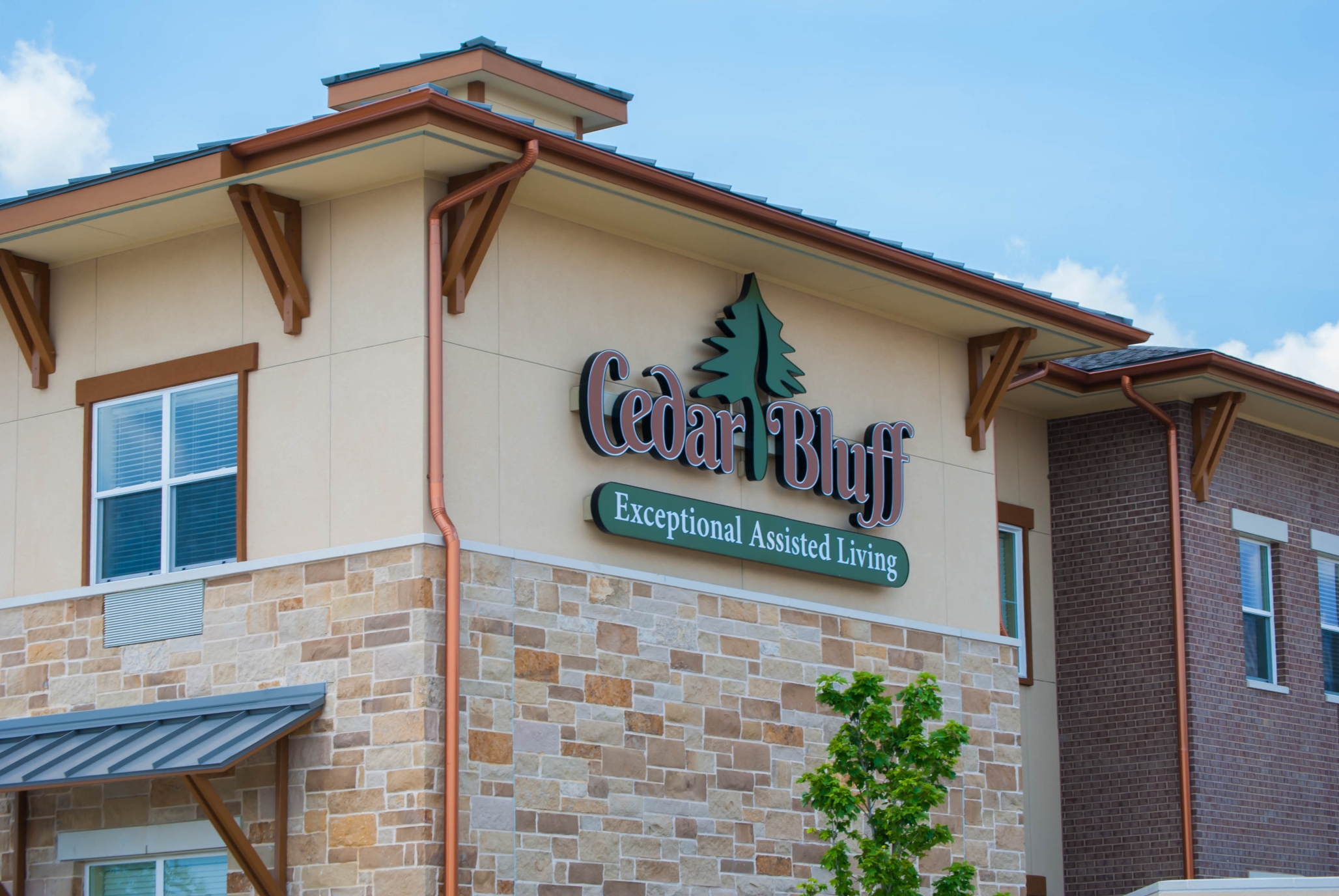 Cedar Bluff Assisted Living & Memory Care, Mansfield, TX 3