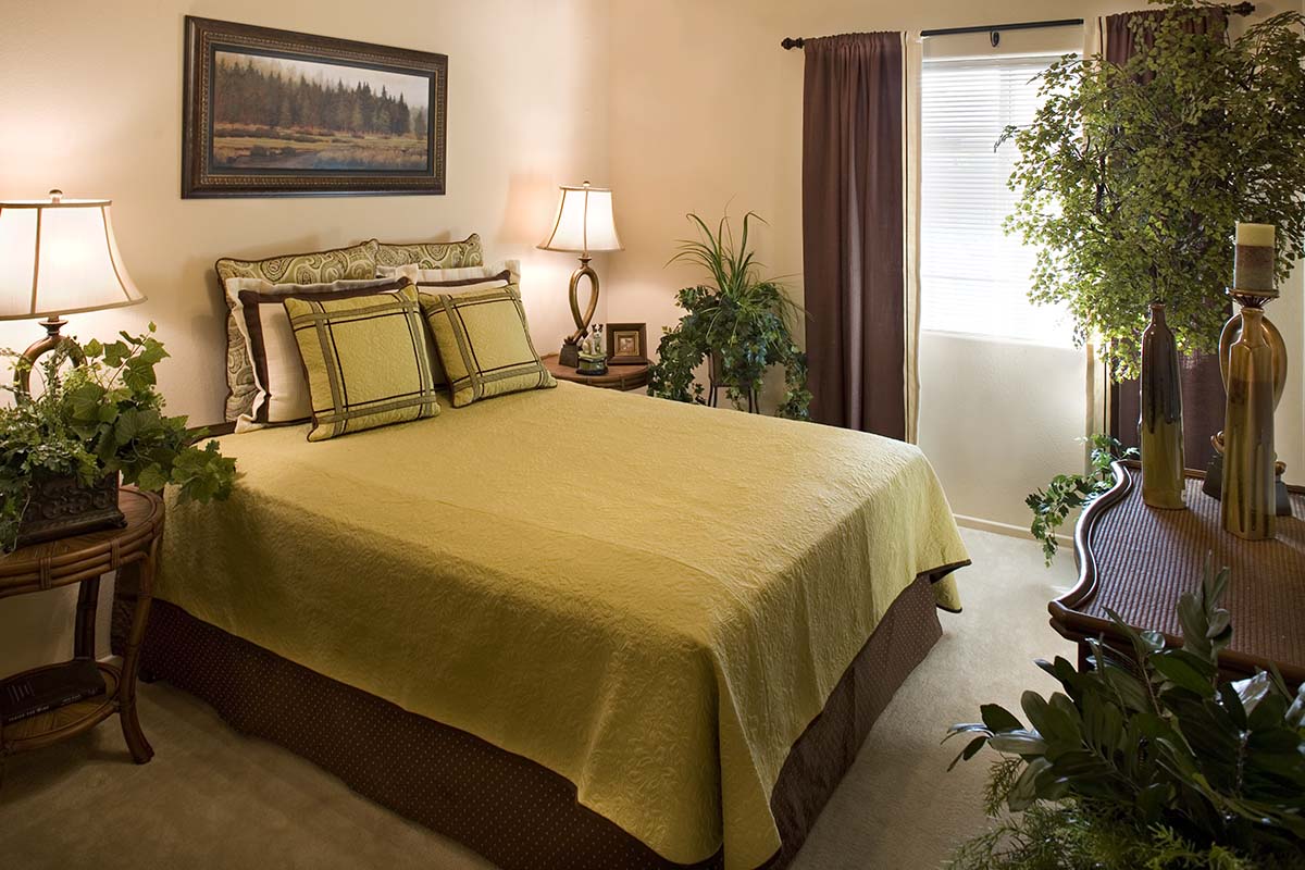 Carefree Senior Apartments – Las Vegas, Las Vegas, NV 9