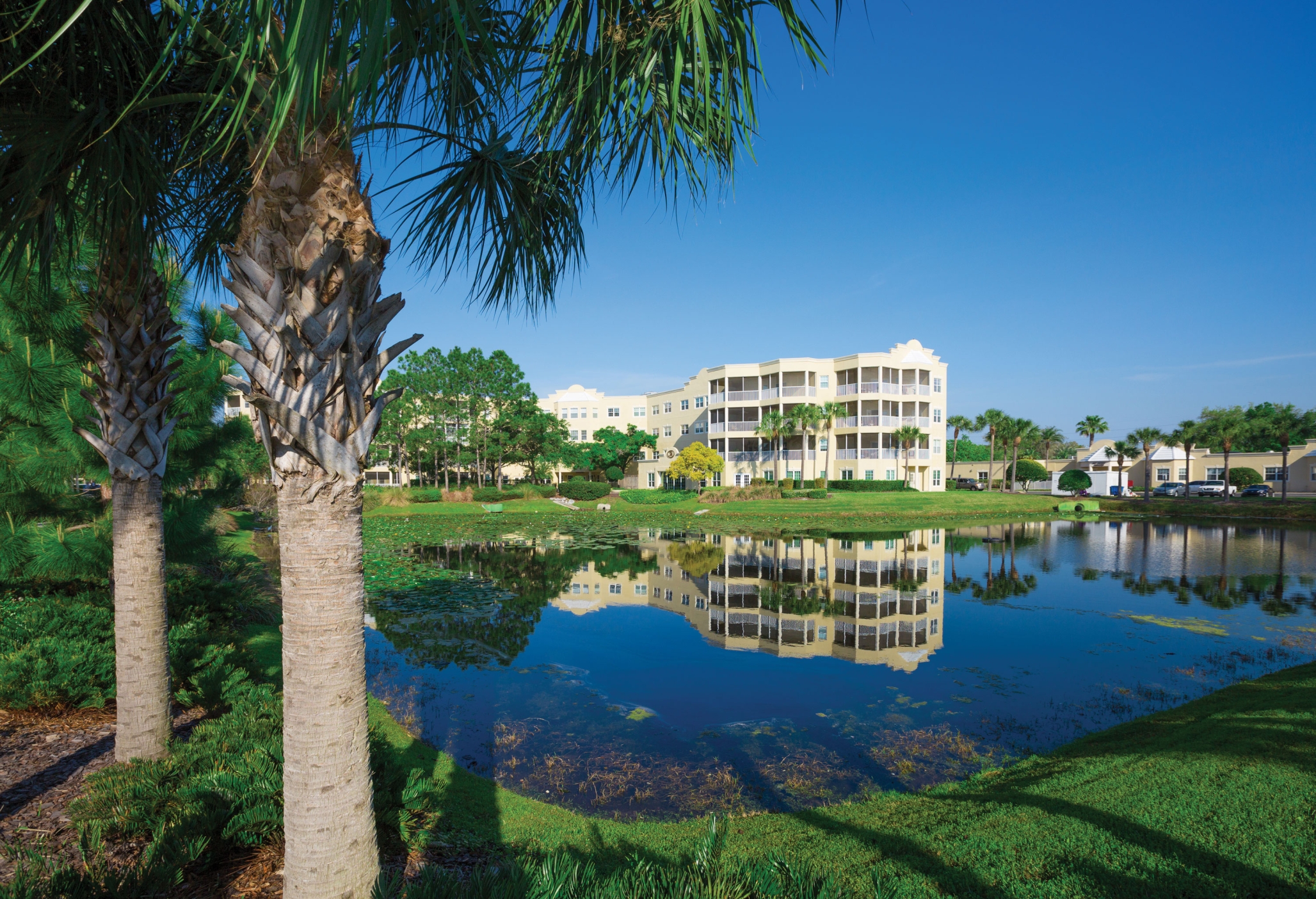 Cypress Palms, Largo, FL 31